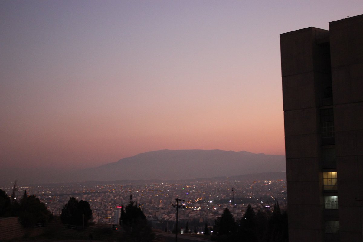 Gm everyone 👋🌻