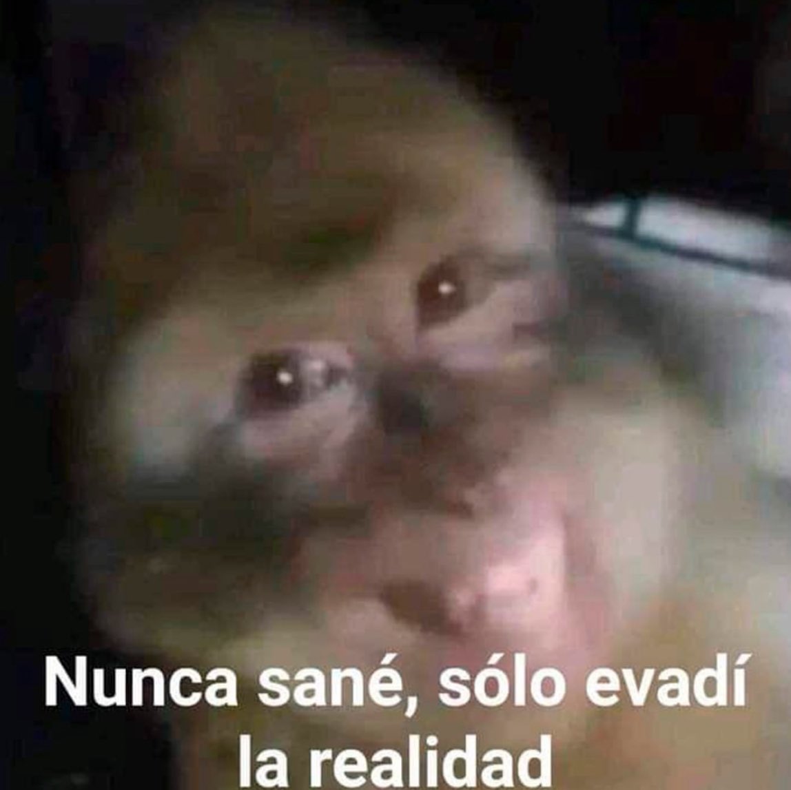 En Júpiter tweet media