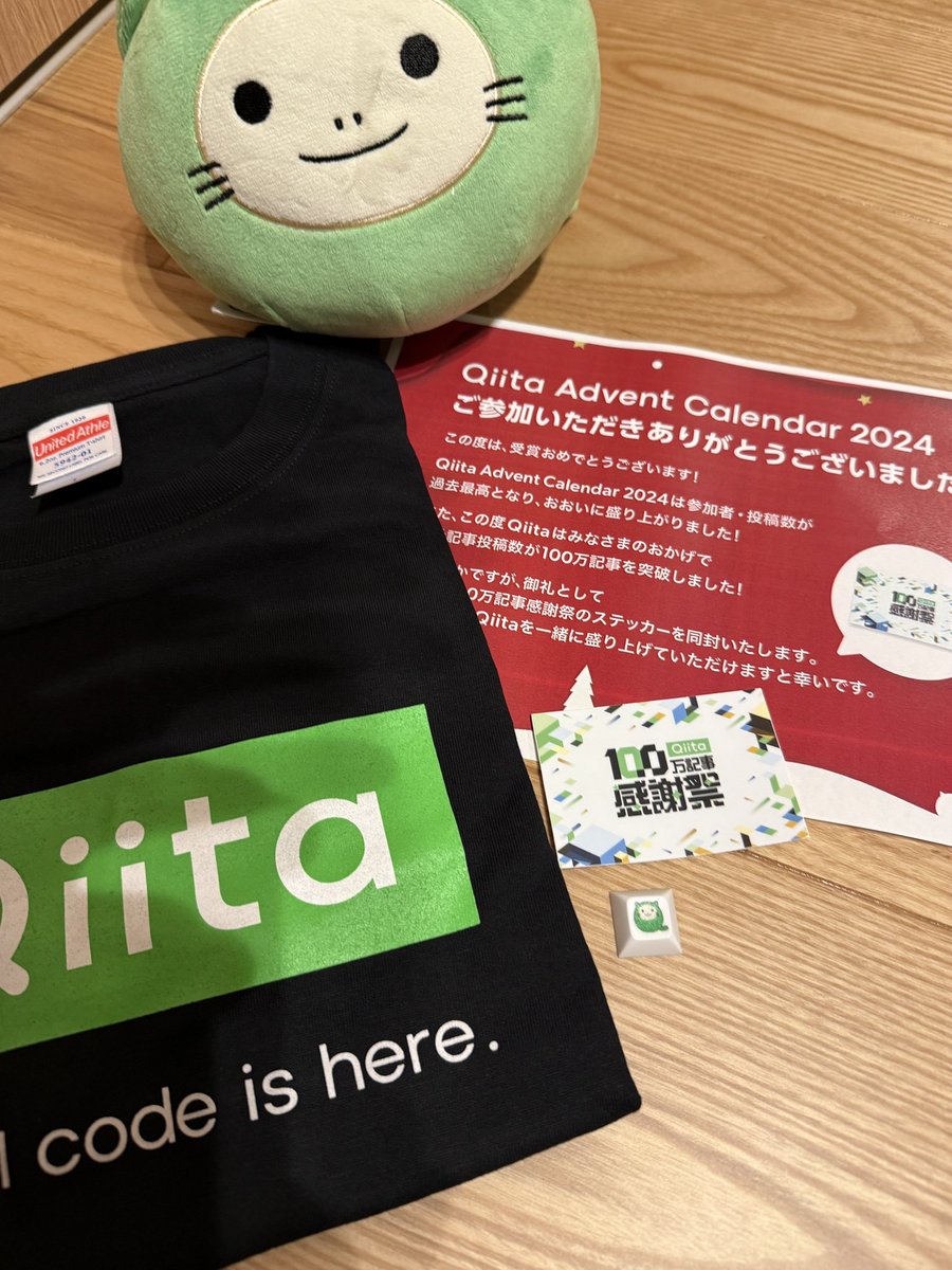 届きましたー！ Qiitanはさっそく子供のおもちゃになりました。