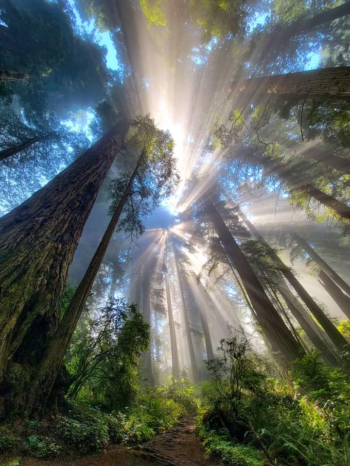 ۰

❋

💯% #FollowBack 💯% 互fo 💯% #相互fo 💯% #相互的fo 💯% #वापसपीछाकरो 💯% #MutualFB 💯% #SiguemeYTeSigo 💯% #взаимная 💯% #フォロバ100 💯% #FollowExchange 💯%

💓 ♥ ️❣

➩ वापसपीछाकरो 100%

❋
۰