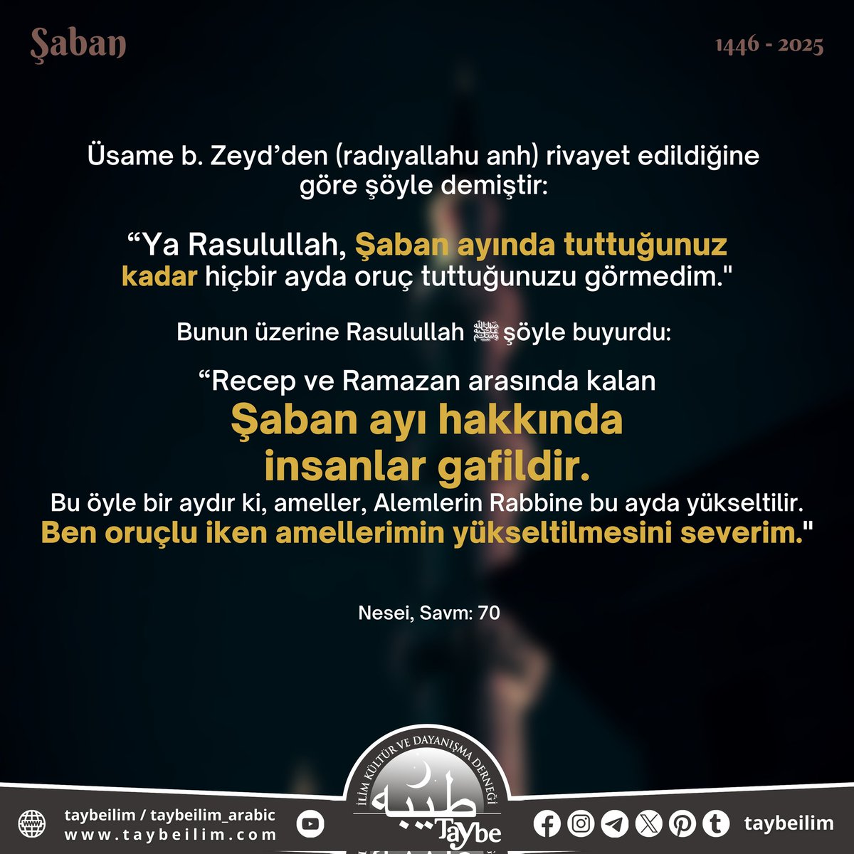 taybeilim's tweet photo. #islamgünlüğü #islamileyaşamak #melekler #sadaka #ateş #kul #sevap #günah #şirk #zülüm #mümin #zina #doğruyol #nasihat #öğüt #sınav #diyanet #haya #şeytan #regaipkandili #bakara #âliimran #enâm #maide #enfal #tevbe #yunus #hud #Yusuf #rad https://t.co/mwF3udCpY7