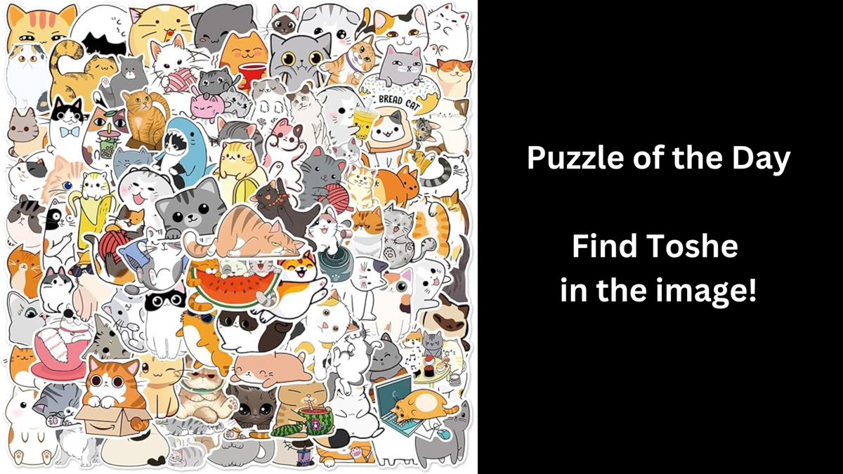 Find Toshe 😻