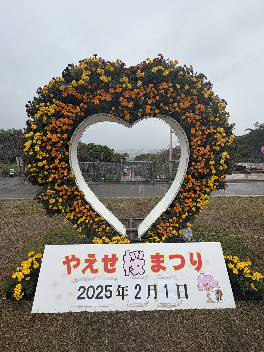 fish717125's tweet photo. 沖縄楽しかった！！
帰る！！！ https://t.co/9fgHlsaTnl