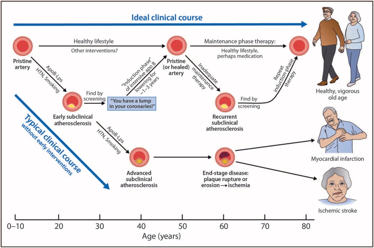 medvasc.info/archives-blog/… <a href="/sholzberg/">Michelle Sholzberg</a> <a href="/MichelDadon/">Dadon Michel</a> <a href="/GMahe_/">Guillaume Mahé MDPhD</a> <a href="/LaurentBertole1/">Laurent Bertoletti</a> <a href="/FCouturaud/">Francis Couturaud</a> <a href="/ClubVasculaire/">Club des Jeunes Médecins Vasculaires</a> <a href="/doctormclintock/">Claire McLintock</a> <a href="/afintmedvasc/">Association Française Internes Médecine Vasculaire</a> <a href="/MedVasc_HEGP/">Med-Vasculaire HEGP</a> <a href="/VMJ_SVM/">VascularMedicine</a> <a href="/MedvascC/">MedVasc&Therapeutique_CHUSE</a> <a href="/macecc22/">Courtois</a> <a href="/fikkumamoto/">Italo Kumamoto</a> <a href="/FAVAMulti/">Filière FAVA-Multi</a> <a href="/fniainle/">Fionnuala Ní Áinle</a> <a href="/Olvmt/">Ol M</a> <a href="/CarsinMichel/">Carsin M</a> <a href="/FCognasse/">Fabrice Cognasse</a> <a href="/MiikkaVikkula/">Miikka. Vikkula</a> <a href="/LaurenceBoon4/">Laurence Boon</a>
