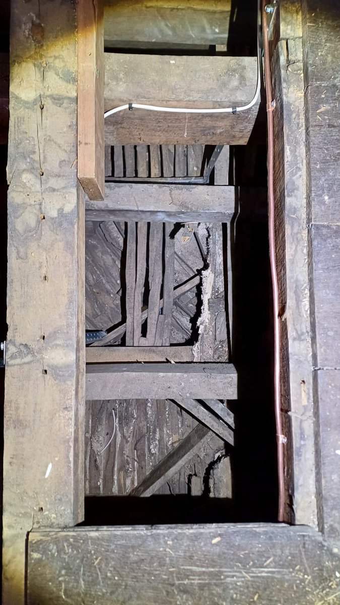 It also changes our knowledge of the Castle’s history. The Dudley period is known as a period of ruin and neglect, deliberately left to rot to emphasise its antiquity.

This plasterwork, found in the old medieval Solar, suggests it may been renovated with the latest 16th designs.