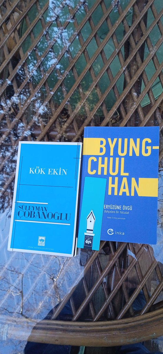 Bazı kitaplar okunmuş olsa bile özlenir ve yeniden okunur.Şiir tadı sinmiş iki kitap.