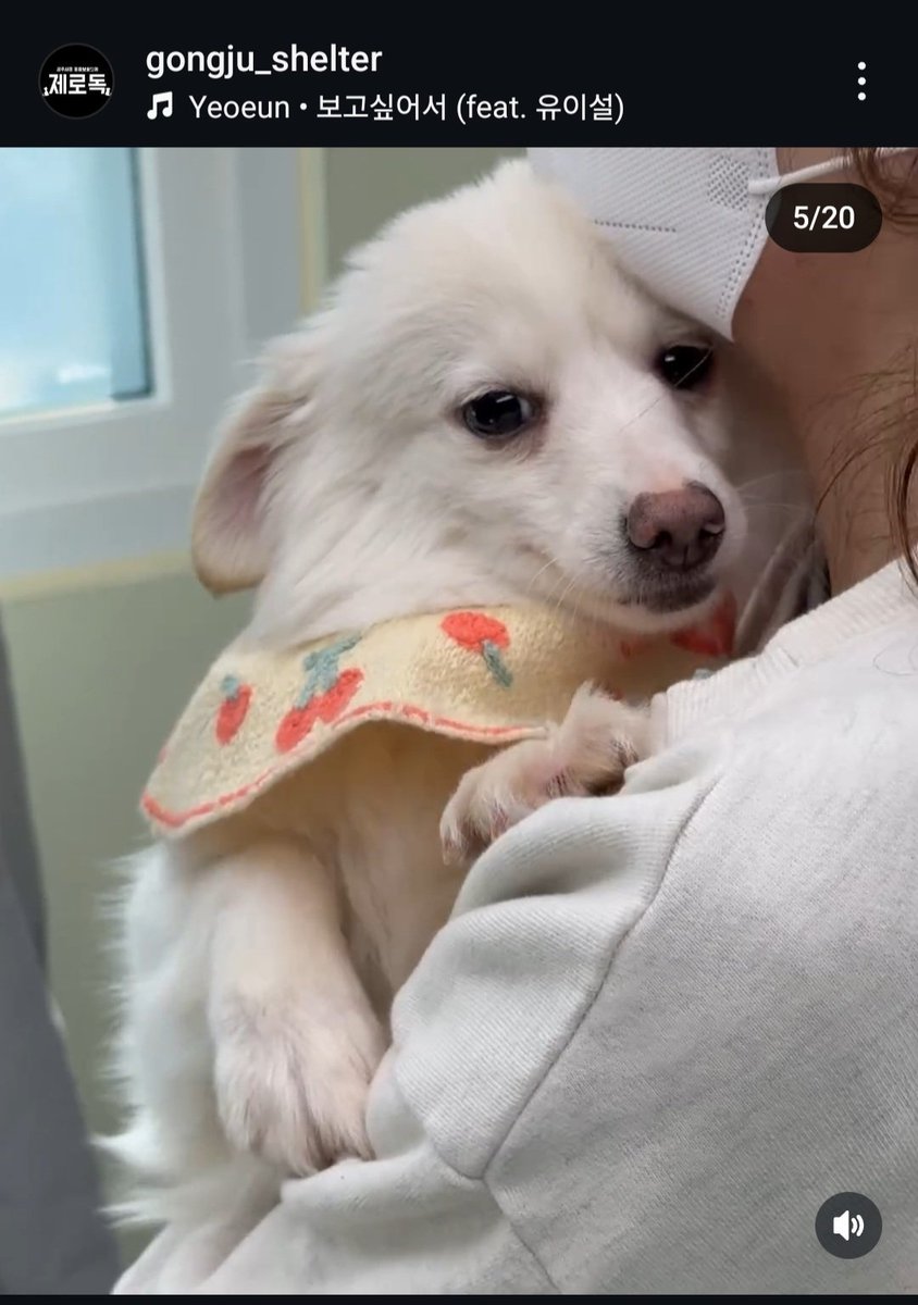 2/20 안락사확정
입양신청 041 840 3495