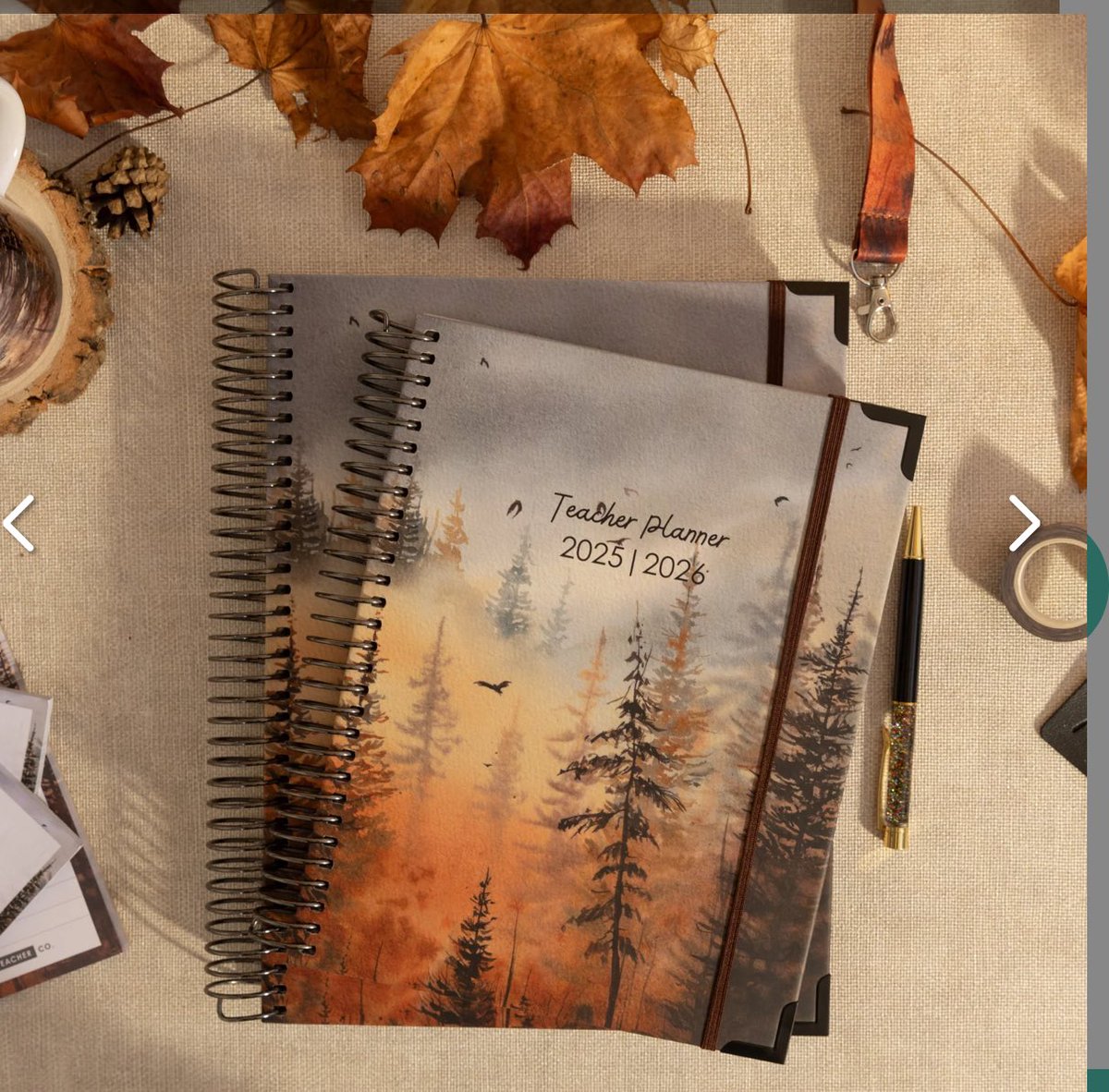 MissDavidsonRE's tweet photo. So excited, just ordered my new @the_positive_teacher_company stationary! Decided to go for the gorgeous Golden Pine design &amp; matching accessories. For anyone needing a teacher planner I can’t recommend them enough, this will be my 6th one 🌲📒 https://t.co/DNGTC06HnH