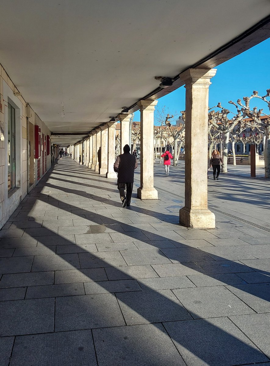 ManuelRevilla57's tweet photo. El sol a las diez de la mañana provoca unas sombras muy geométricas en los soportales. 

#AlcalaDeHenares https://t.co/vwGQMIGjVx