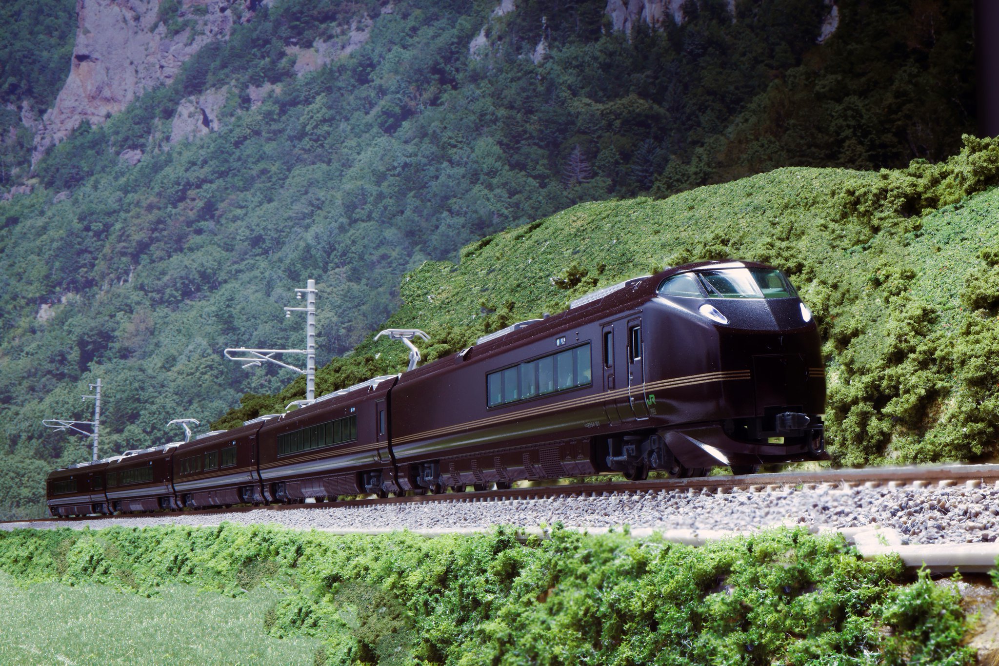 E655系　なごみ E655系なごみ(和)と特別車両を弄る。 蓄電式室内灯取付（DNESHA