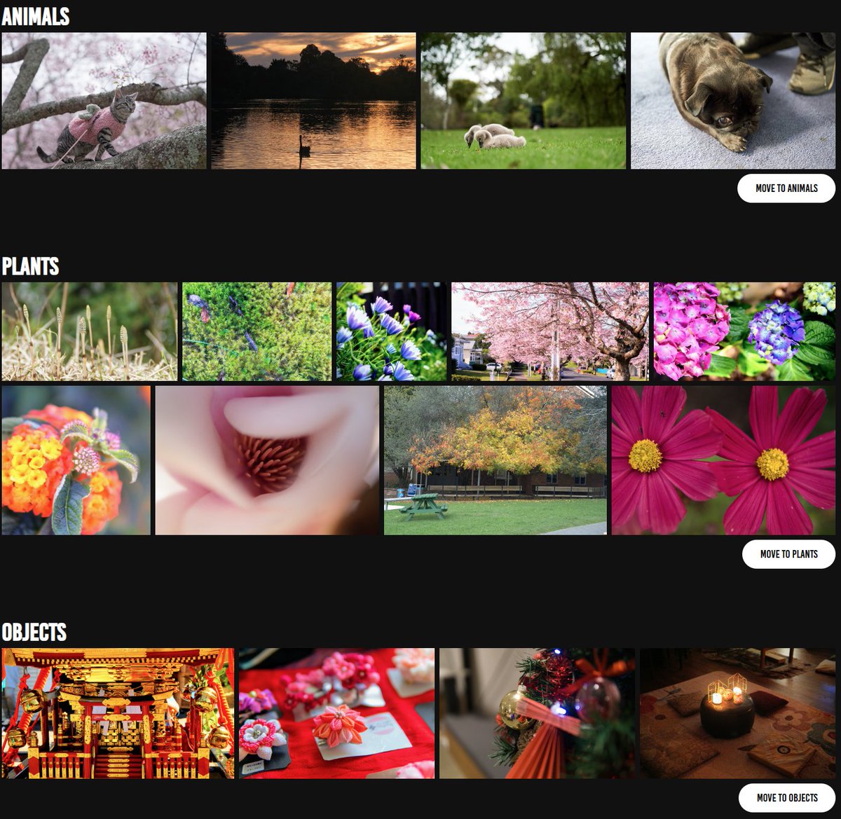 Joe Photography tweet media