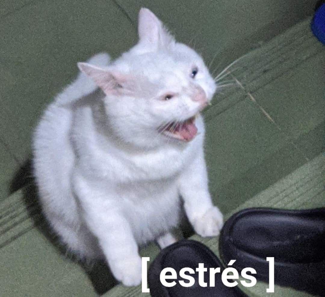 yo en estos momentos