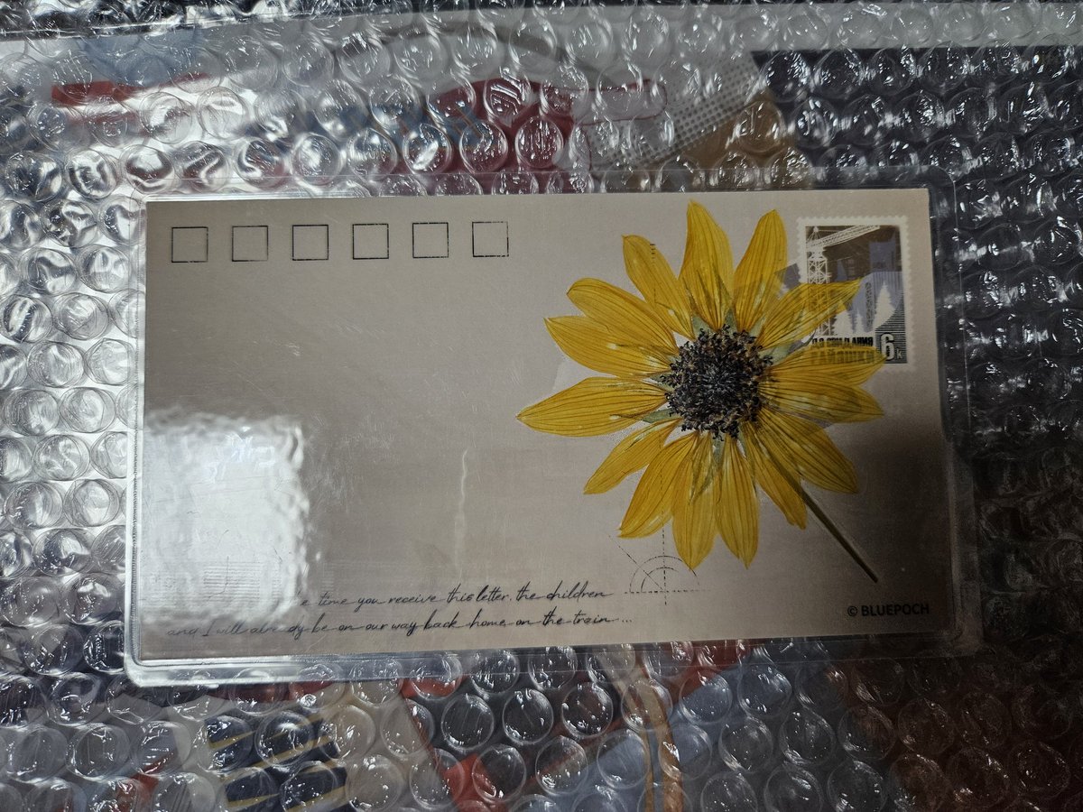 엽서에 꽃이잇어....... 진짜꽃......🥹🥹🥹