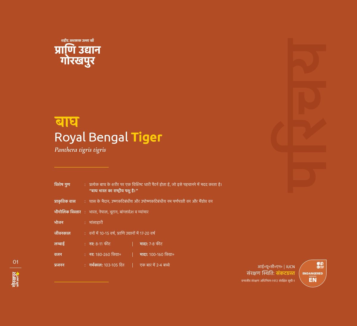 #gorakhpurzoo 
#tiger 
#tigerfacts 
#coffeetablebook 
#royalbengaltiger 

<a href="/CZA_Delhi/">Central Zoo Authority</a> <a href="/UpforestUp/">Environment, Forest and Climate Change Department</a>