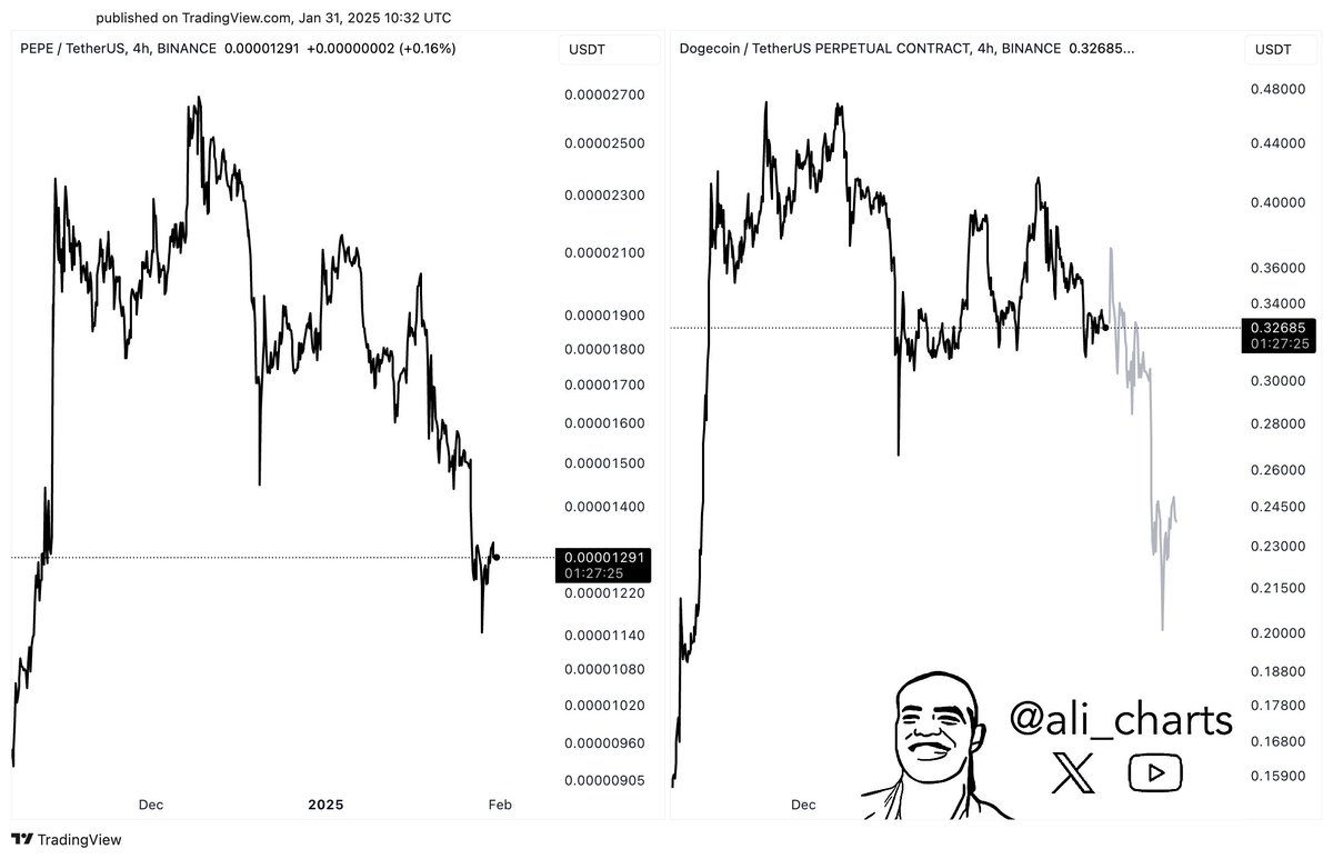 Dogecoin 