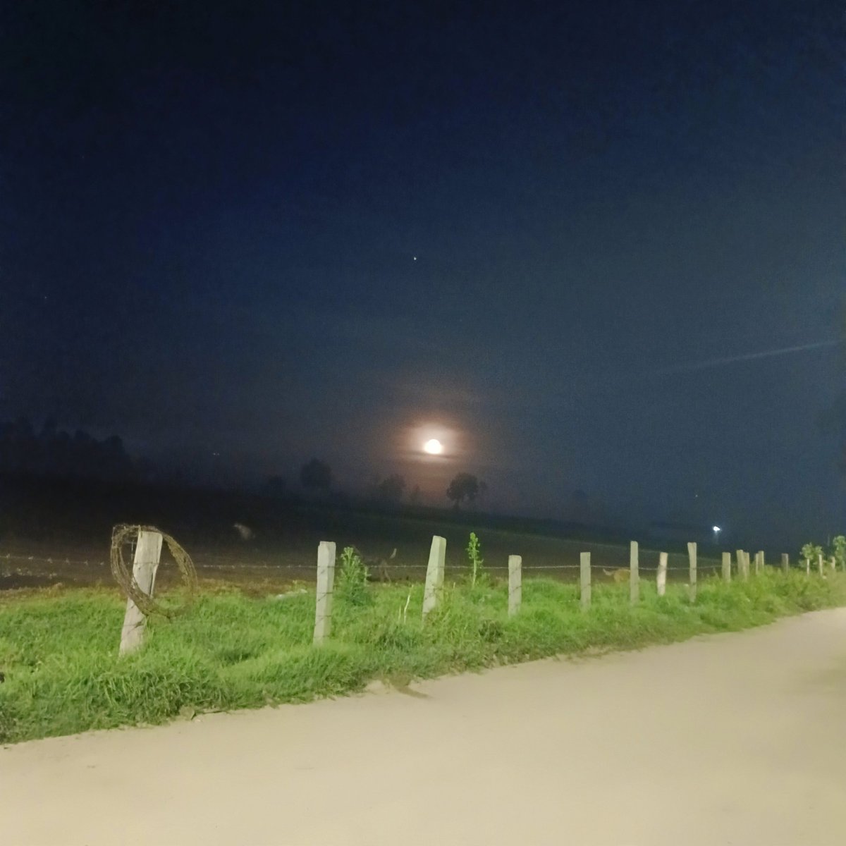 JRodrigud's tweet image. 