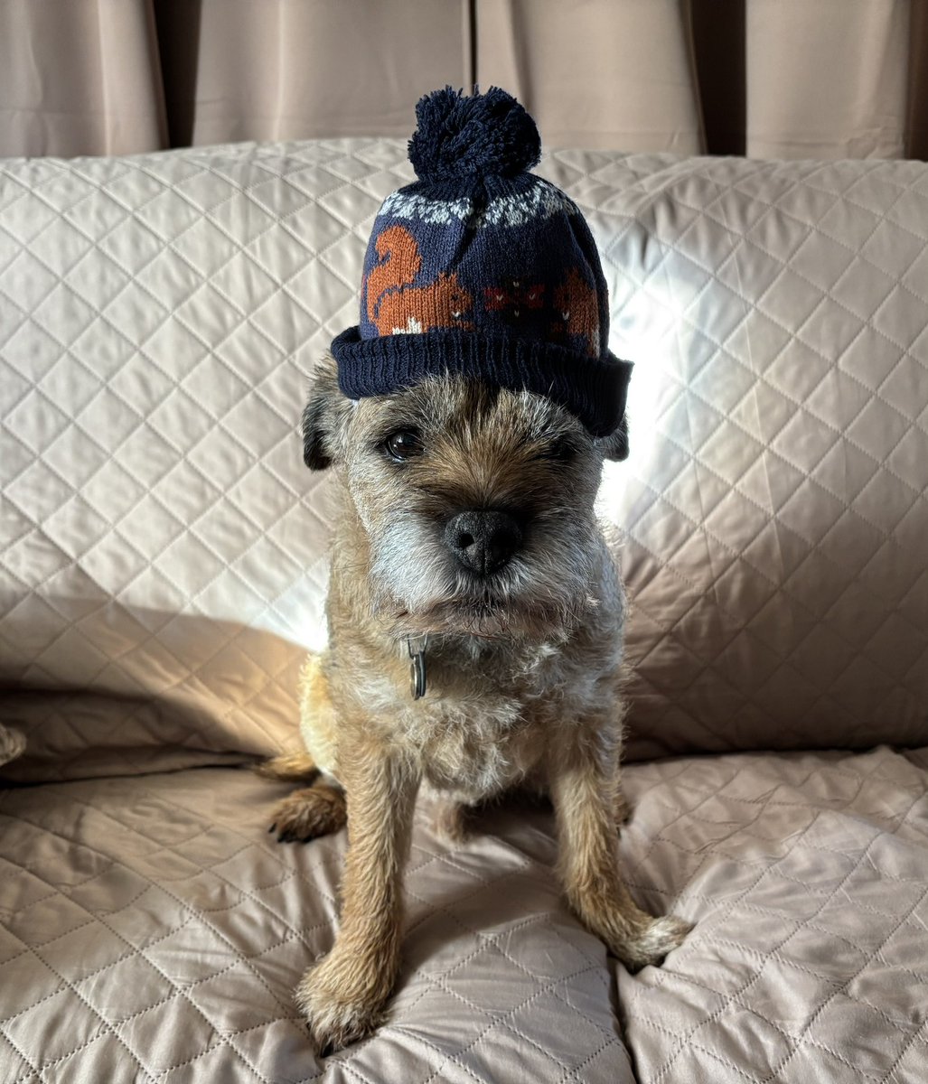 #HatsOnForEric heres my contribution for Eric BTPosse