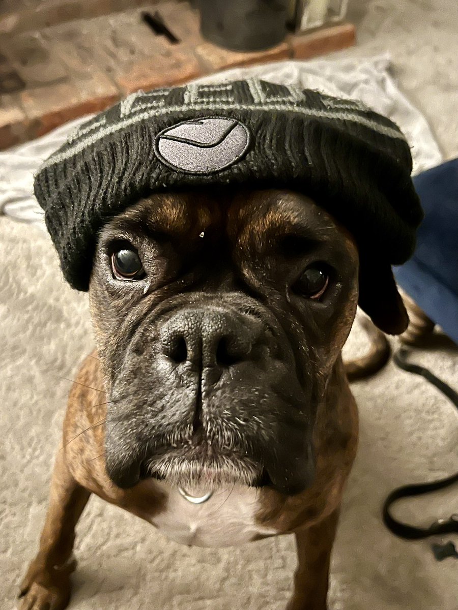 Karl Neal tweet media