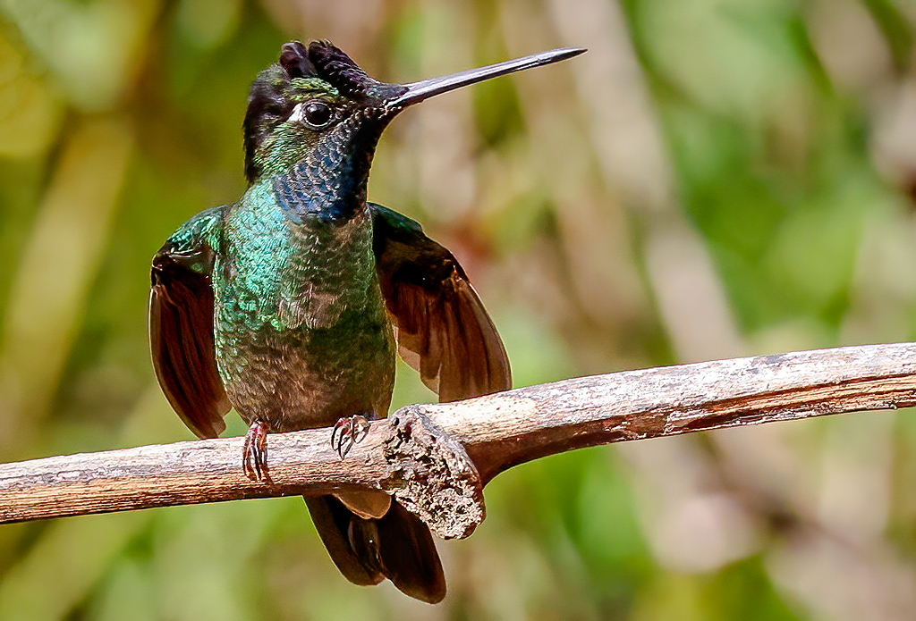 Gary Ladner tweet media