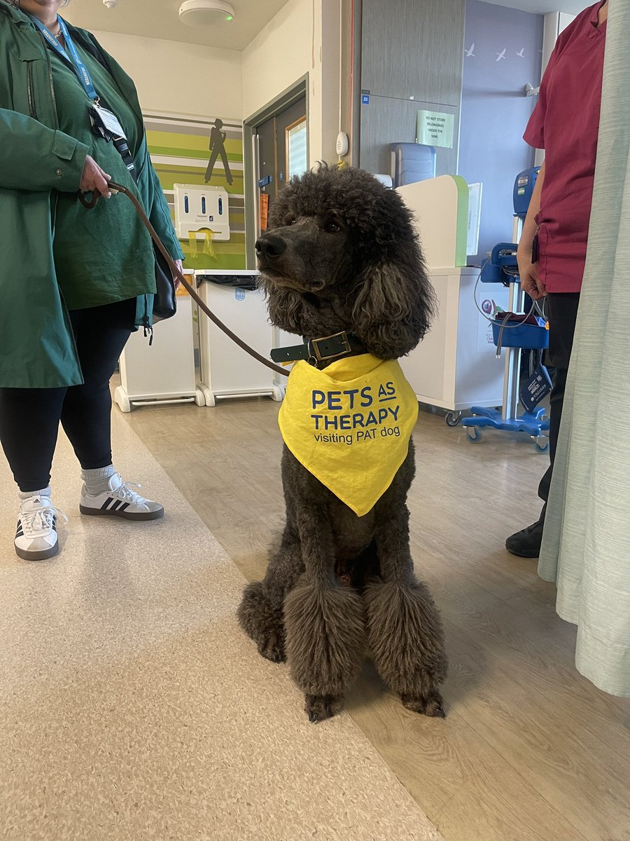 Ward E39, Nottingham Children’s Hospital🎗 tweet media