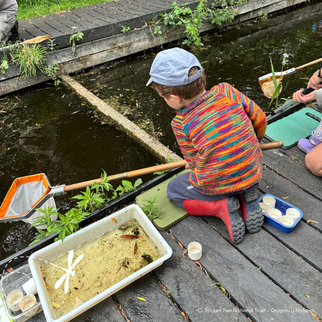 We are looking for an Events Officer 🎉
You will deliver our 2025 programme of events, part of which is working with our brilliant partners at Dragonfly Hotspot sites! 🤩💦

Closing date: Sun 16th Feb
ℹ️ Full job details and how to apply: loom.ly/74ILnYU