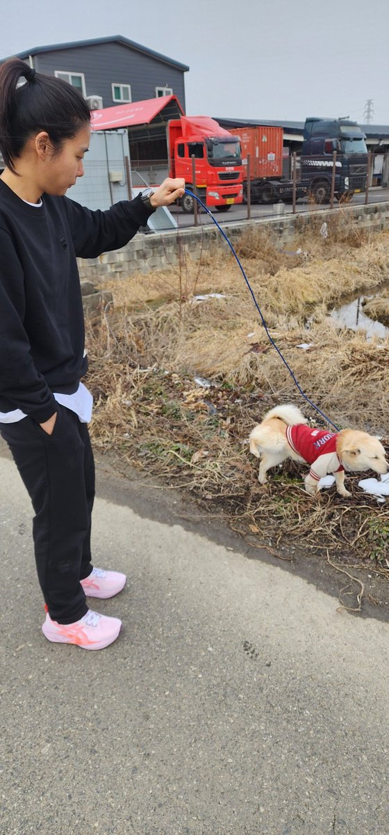 길에서 만나니 냅다 메롱 날림