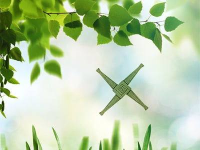 1st February marks the beginning of spring and the celebration of Lá Fhéile Bríde, St Brigid’s Day. Saint Brigid of Kildare is patroness of many things, including poetry, learning, healing and more. Happy St Brigid's Day to all our clients, partners, colleagues and friends!