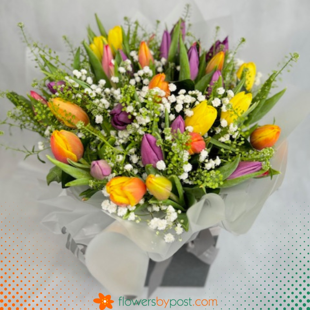 flowersbypost's tweet photo. This stunning arrangement features a blend of vibrant tulips in aqua packaging. 

🌷 24 mixed tulips £32.95
🌷 36 mixed tulips £39.95

Order now! 
https://t.co/WdTlCIlfpe https://t.co/AOso1pyCTI