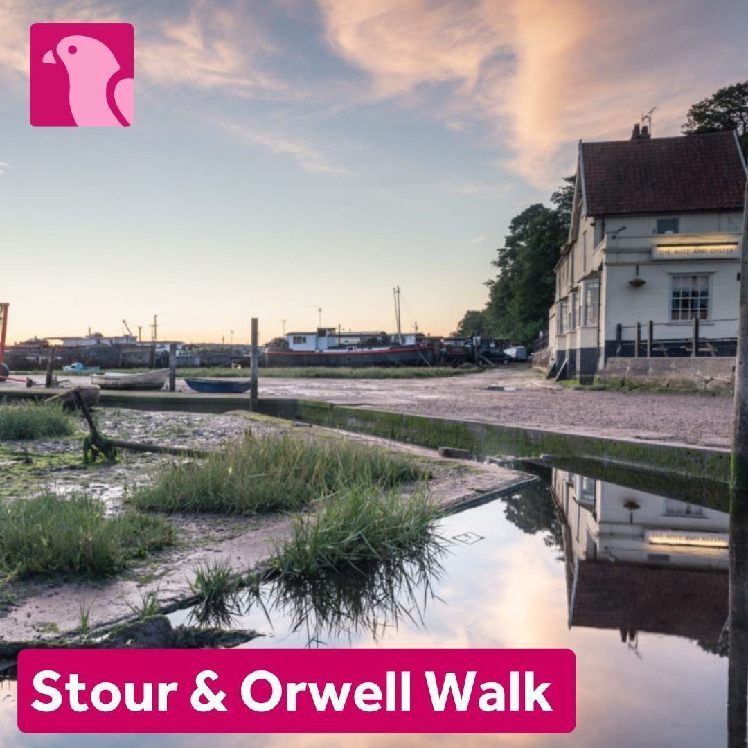 The 40-mile Stour &amp; Orwell Walk route takes in these two historic rivers, Stour and Orwell, and offers views of glorious scenery, wildlife and more!

Find out more 👇
buff.ly/3Z4JKD6