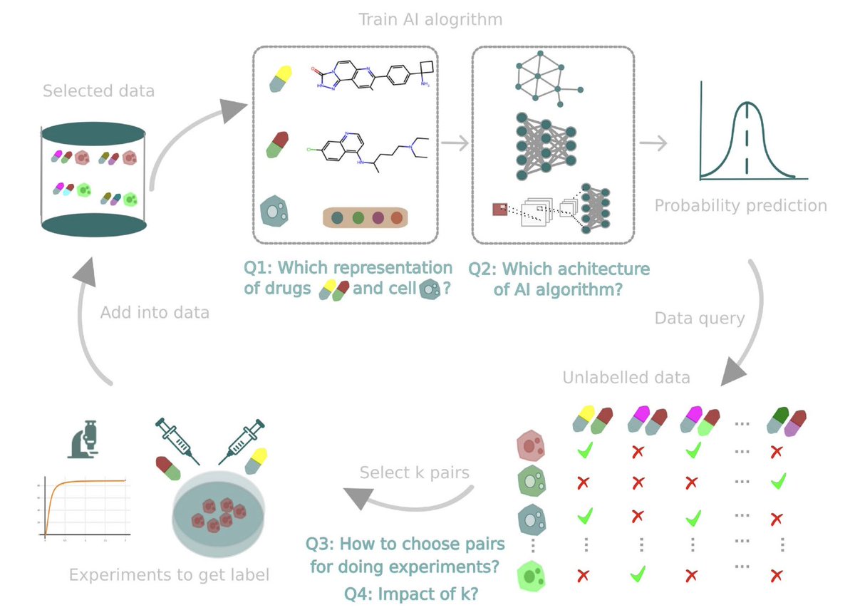 BiologyAIDaily's tweet image. A guide for active learning in synergistic drug discovery @SciReports

1. Synergistic drug combinations can significantly enhance cancer treatment, but finding effective pairs is challenging due to the vast combinatorial search space. This study introduces a robust active…