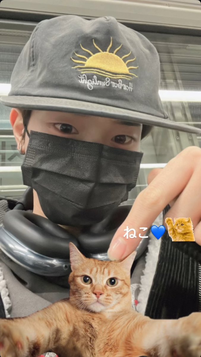 20250201 
@ j_sun_castle instagram story🤍

#고양이 #귀여워 #정해성 #사랑해 #🤍