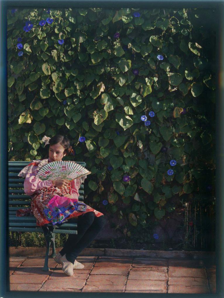 Yo, Paco tweet media