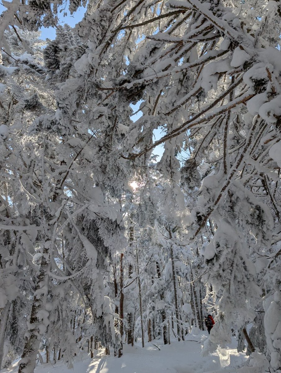 shu2Nac's tweet photo. 昨日の海から一転して、初雪山登山!　八ヶ岳（横岳）。自然の美しさに感動。
#八ヶ岳 #横岳 #雪山登山 https://t.co/jIZhaja8xg