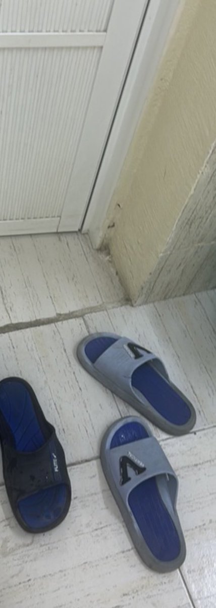 قبل شوي تفاتنا أنا وشخص فالمسجد 
دخلت الى دورة المياة وطبعا مستحيل اللبس الزنوبه اللي  عند دورات المياة قال ليش داخل بنعالك قلتله هذولا تعرف من كم سنه هنا ؟ وهل تعرف من يلبسهم مريض او لا ناهيك المكان كله جراثيم  
اتمنى اصدار منع هالعاده الوسخه 

<a href="/meraoman/">وزارة الأوقاف والشؤون الدينية - سلطنة عُمان</a>