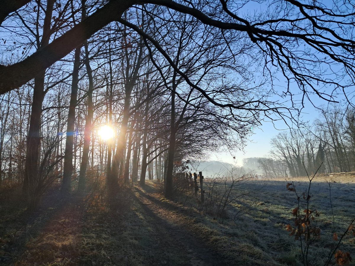 VanhoofHans's tweet photo. En toen was er licht...
Alsof het zo heeft moeten zijn, na maanden van grauwte en grijste eindelijk terug de zon langsheen de paden van de #Brabantsewouden
#zoschoon #zodichtbij #meerbeek #kortenberg
En dan nu tijd om #ordeopzaken te stellen #BDW https://t.co/iNqLwV1YJh