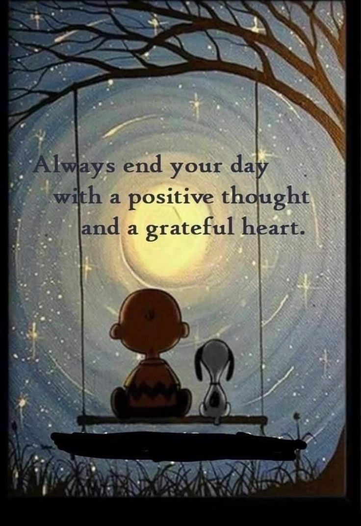 POSITIVITY (@positivitysaid) on Twitter photo 