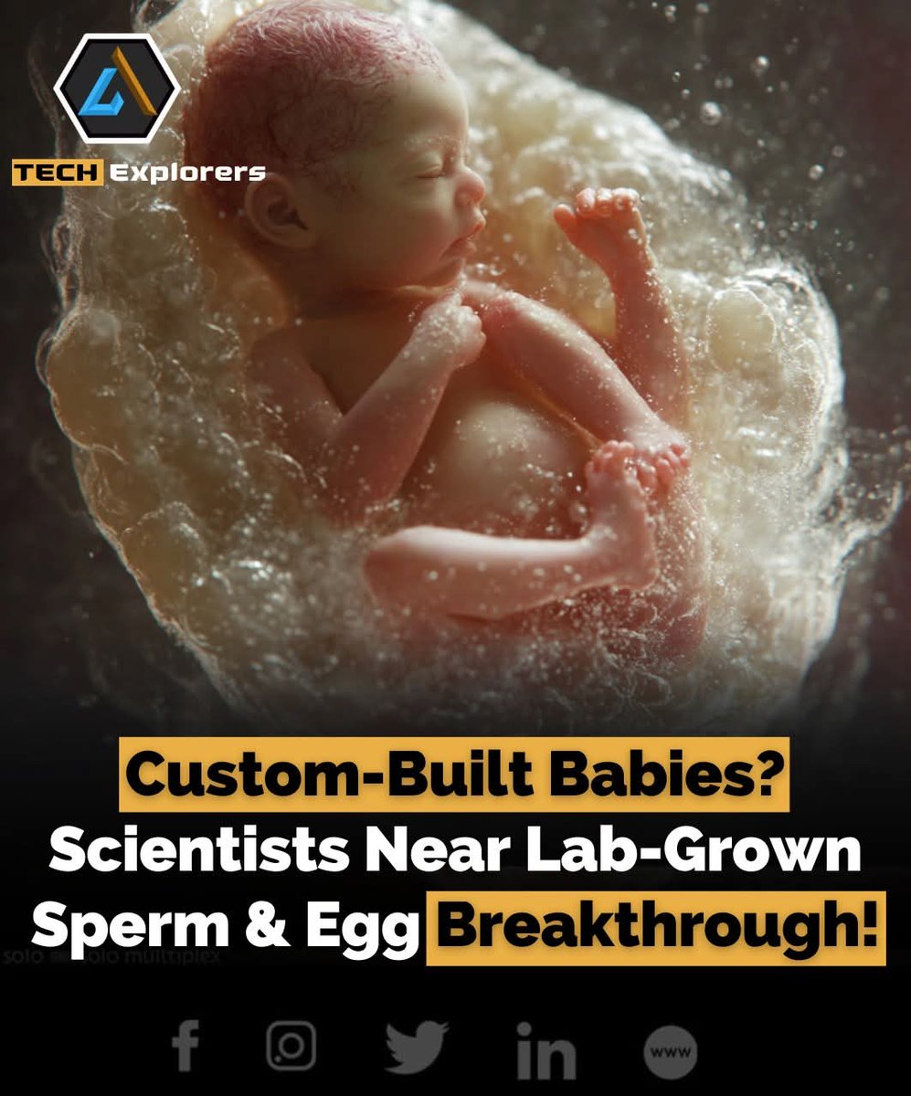 themestimes's tweet image. Scientists are getting closer to creating human eggs and sperm in the lab, according to the Human Fertilisation and Embryology Authority (HFEA). This breakthrough could change fertility treatments and reproductive science forever. 

#FertilityTech #IVG #GeneticScience