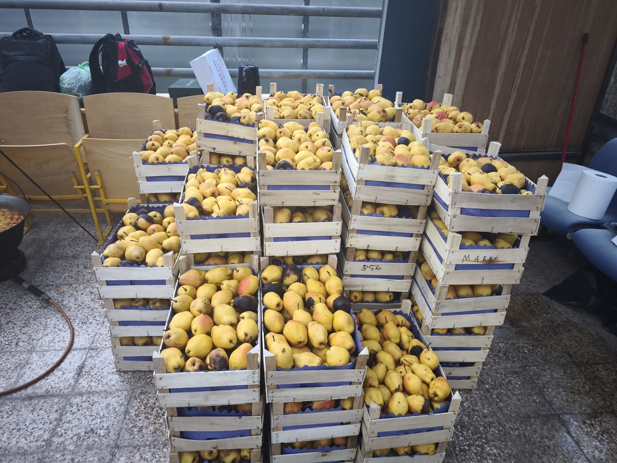 RadojevGoran's tweet image. Donacija na PMF za studente. Reče čovek doneće malo krušaka. 😁😁😁