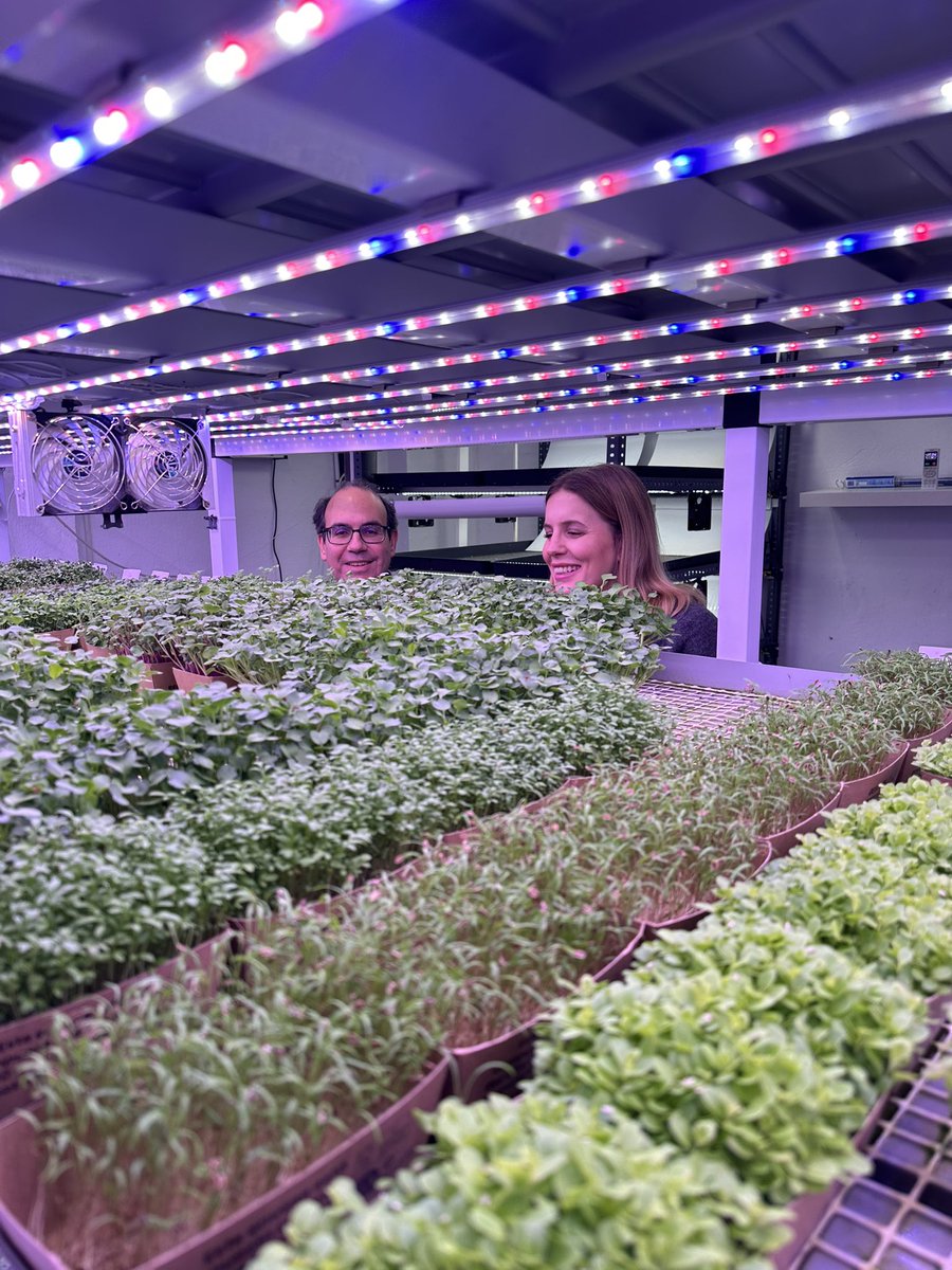 PP Tetuán tweet media