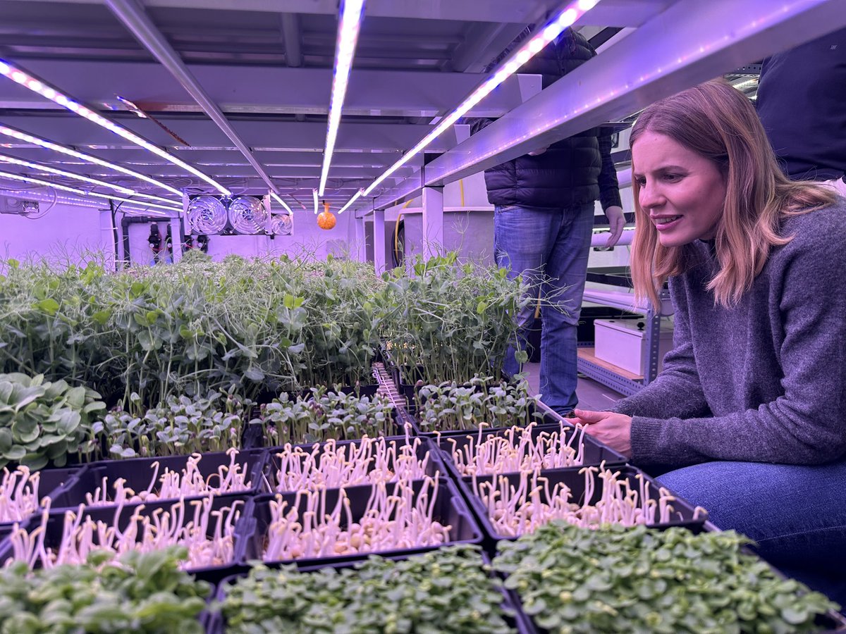 PP Tetuán tweet media