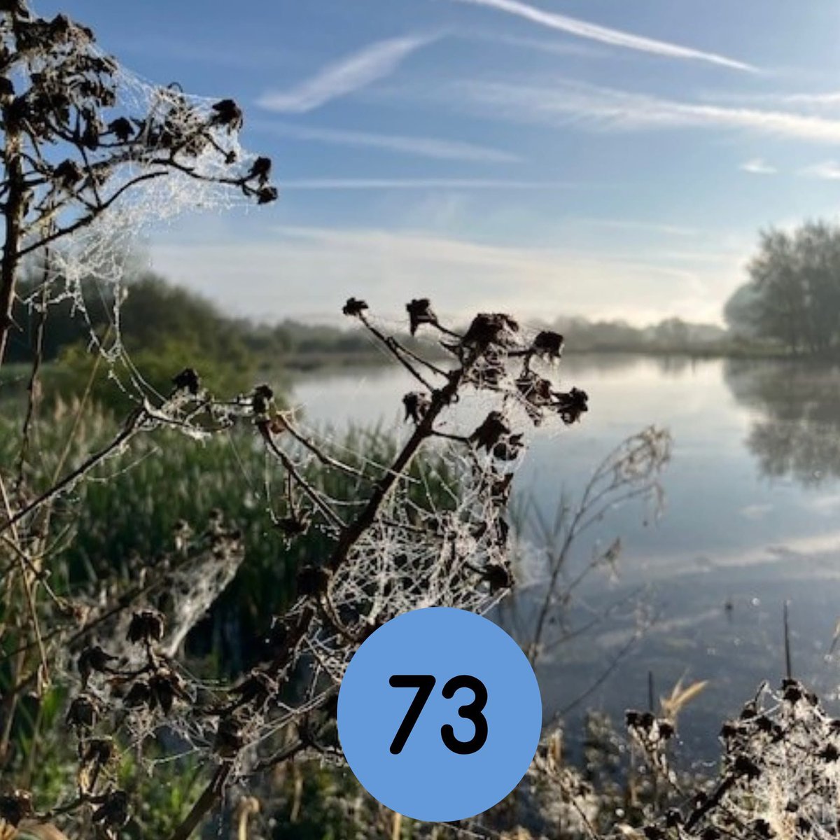 In this week’s show:
💷 What is happening to the old HSBC bank on Reigate High Street
🛍️ The Reigate Church Street shop pleading  for customers 
🧖‍♀️ The new sauna that’s opened nearby 
🌱 Great local snowdrop displays 
To listen, tap tinyurl.com/prp73full and then ▶️ .