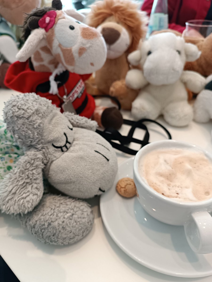 Der Keks ist zwar klein, aber das stört <a href="/Schaf_emily/">Emily & Tux🇮🇱</a> nicht weiter....