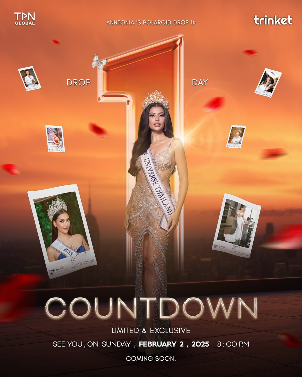 TPN GLOBAL tweet media