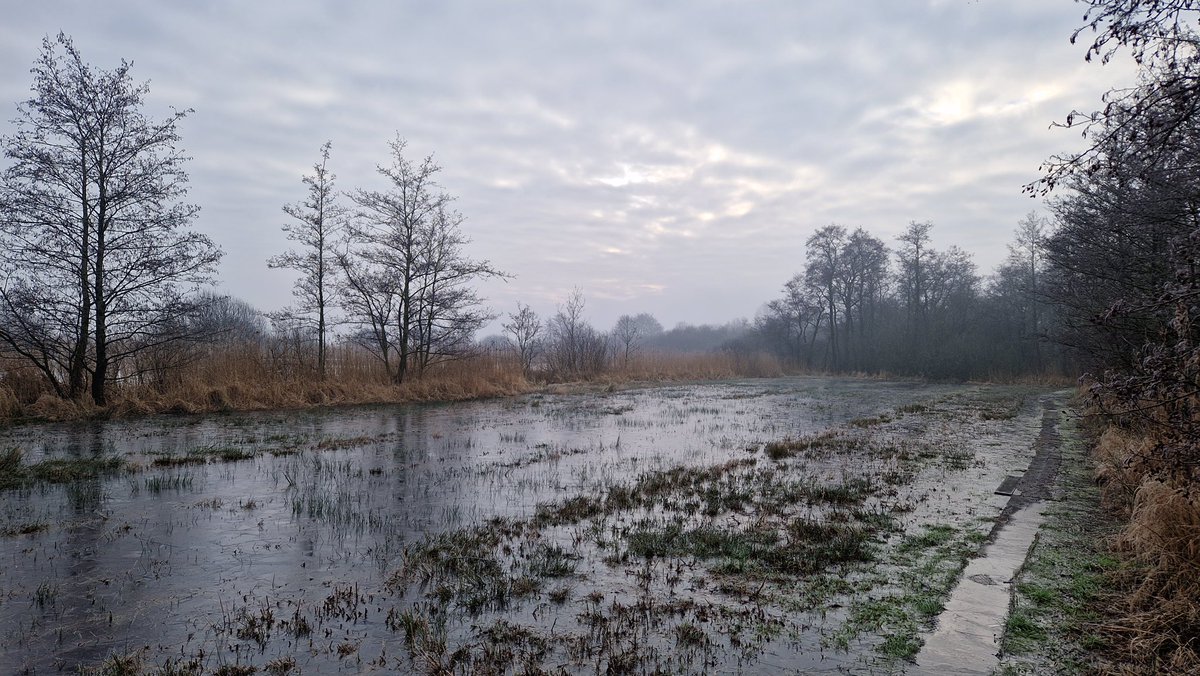 marco glastra tweet media