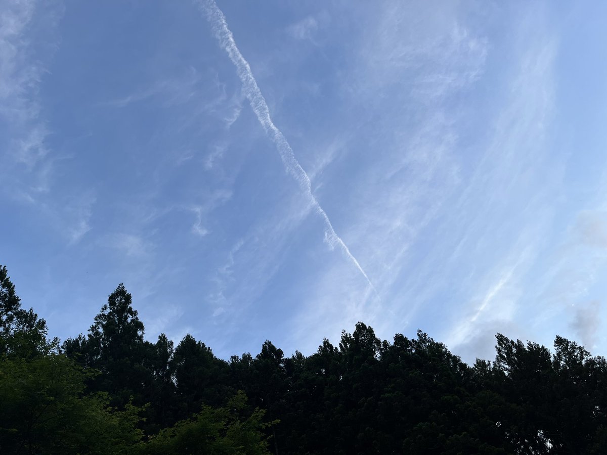aaooaa320's tweet photo. 2○年勤めていた病院を三月末で退職。
二月三月と有給消化。
もう少し患者さんのために頑張ろうと思っていたけど、理不尽な対応で心折れました。 https://t.co/mrqLYZGl7k