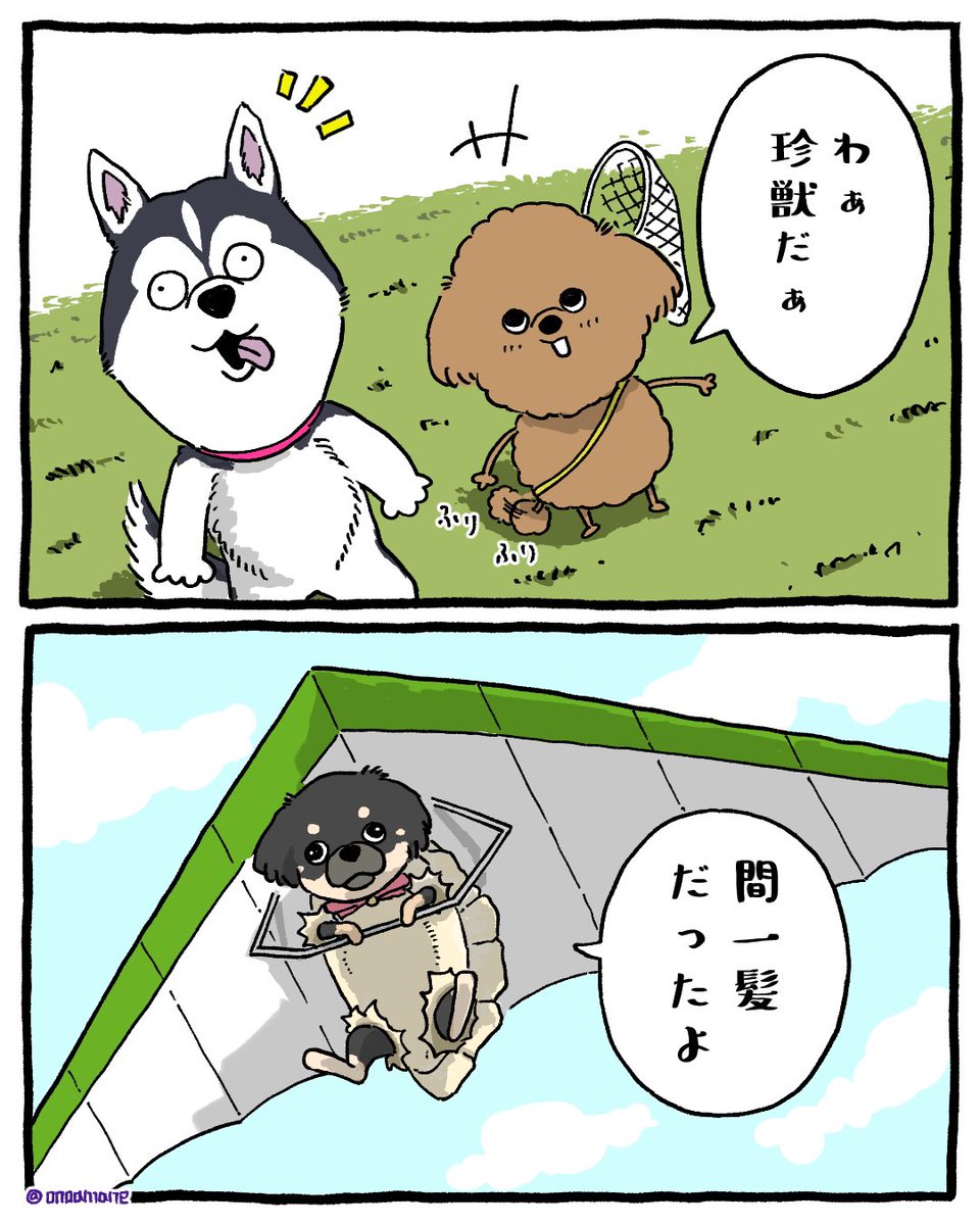 脱出成功 