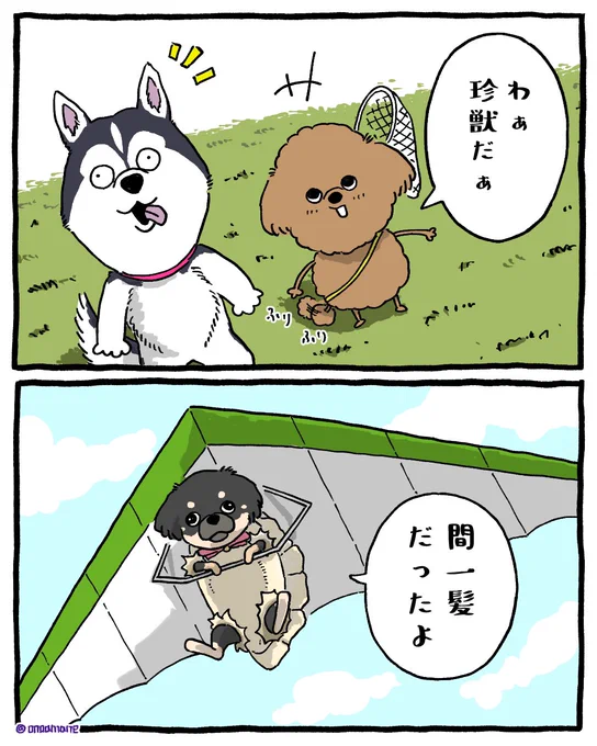 脱出成功 