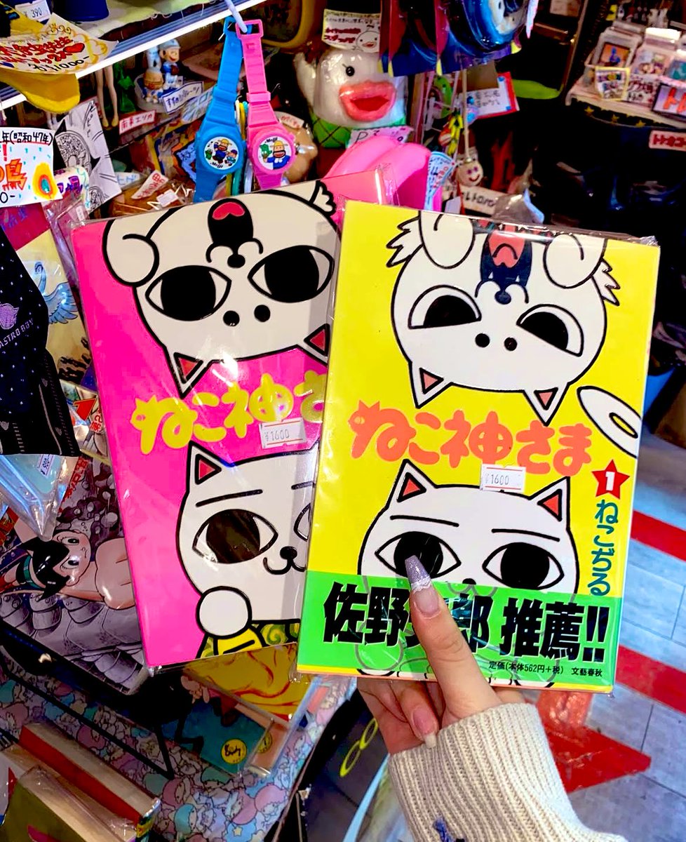 😼アバンギャル堂です😼 本日ご紹介するのは 「ねこぢる 1.2巻」です
