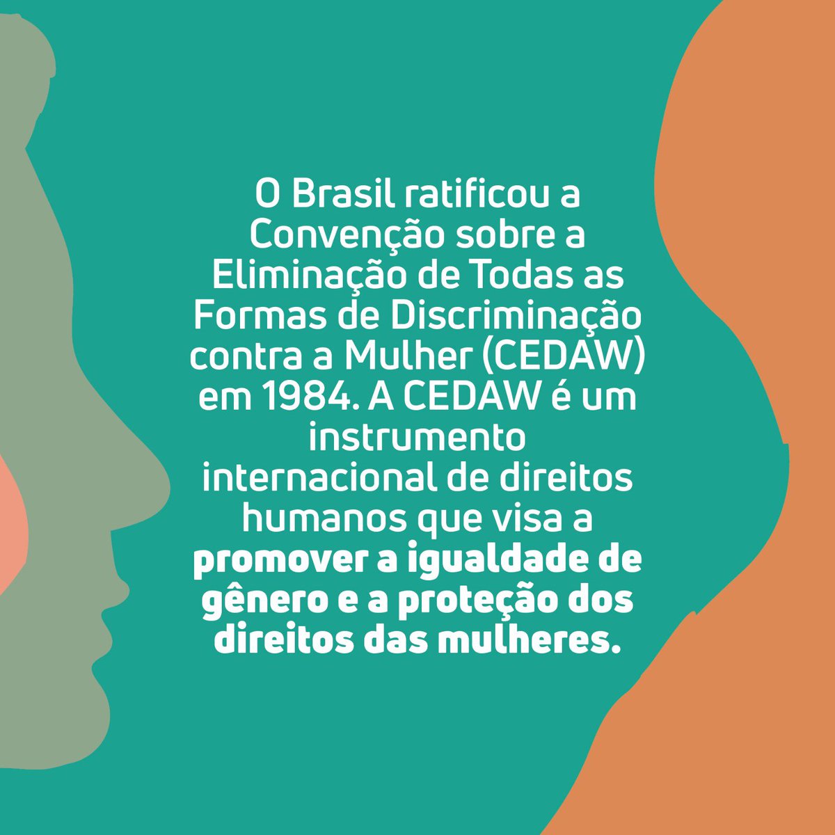adpec_oficial's tweet photo. A ratificação da Convenção sobre a Eliminação de Todas as Formas de Discriminação contra a Mulher (CEDAW) pelo Brasil, em 1984, reafirma o compromisso do país com a igualdade de gênero 💪♀️ https://t.co/daHzhF8az3