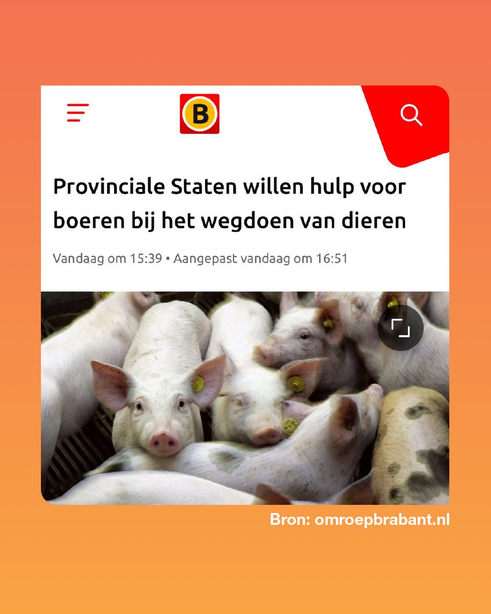 Mooie stap richting het oplossen van de stikstofcrisis! Provinciale Staten heeft het provinciebestuur opgeroepen om te onderzoeken wat er nodig is om het houden van minder dieren aantrekkelijker te maken voor veehouders.

#Brabant #Stikstof